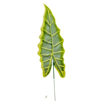 Levél hosszú M50cm 12db/köteg