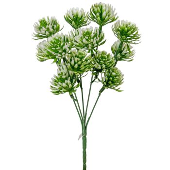 Kövirózsa szálas 5 ágú 27cm