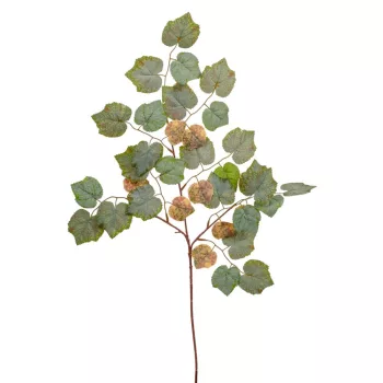 Juhar ág 75cm