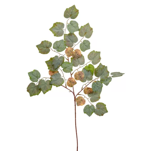 Juhar ág 75cm