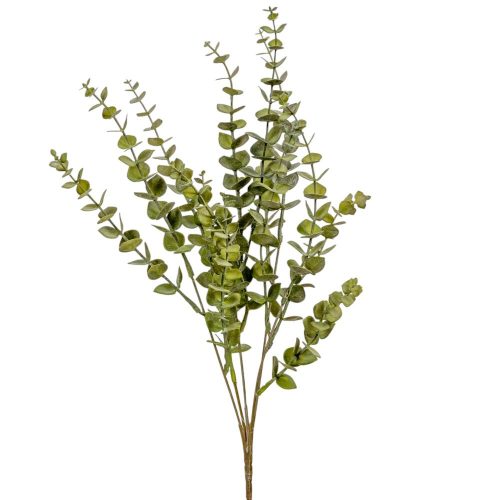 Eukaliptusz bokor 5ágú Mcm 48db/#