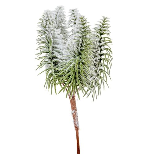 Fenyő pick havas M22cm