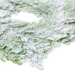 Tuja koszorú D50cm