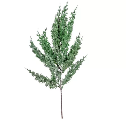 Tuja ág M53cm