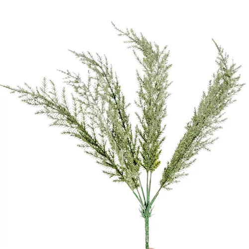 Tuja bokor 7ágú M36cm