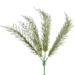 Tuja bokor 7ágú M36cm
