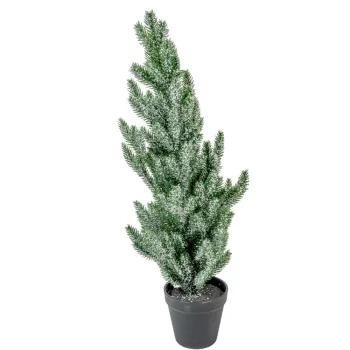 Cserepes fenyő havas M56cm