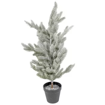 Fenyő cserepes havas M57cm