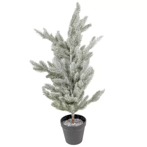 Fenyő cserepes havas M57cm