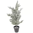 Fenyő cserepes havas M57cm