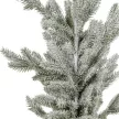 Fenyő cserepes havas M57cm