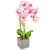 Orchidea cserepes gumi rózsaszín 55cm