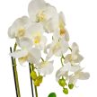 Orchidea cserepes gumi fehér 55cm