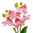 Orchidea cserepes gumi 2 ágú világos rózsaszín 28cm