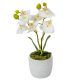 Orchidea cserepes gumi 2 ágú fehér 28cm