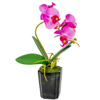 Orchidea cserepes gumi sötét rózsaszín M28cm