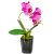 Orchidea cserepes gumi sötét rózsaszín M28cm