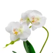Orchidea cserepes gumi fehér M28cm