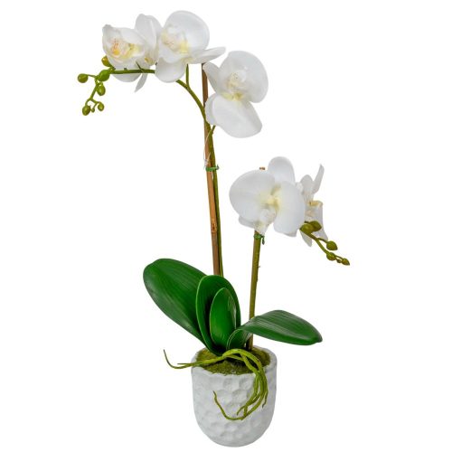 Orchidea cserpes gumi 2ágú fehér M47cm