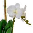 Orchidea cserpes gumi 2ágú fehér M47cm