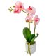 Orchidea cserepes gumi 2ágú rózsaszín M47cm