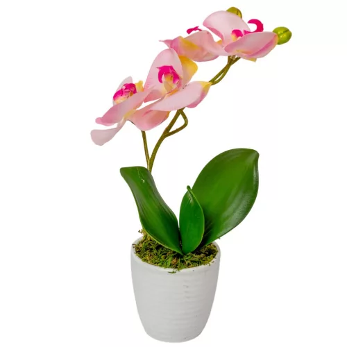 Orchidea cserepes gumi rózsaszín 33cm