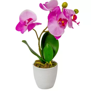 Orchidea cserepes gumi lila M33cm