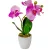 Orchidea cserepes gumi lila M33cm