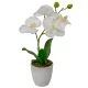 Orchidea cserepes gumi fehér 33cm