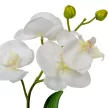 Orchidea cserepes gumi fehér 33cm