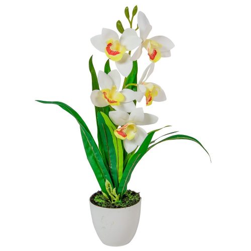 Cserepes orchidea gumi krém M42cm 12db/#