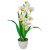 Cserepes orchidea gumi krém M42cm 12db/#