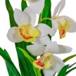 Cserepes orchidea gumi krém M42cm 12db/#