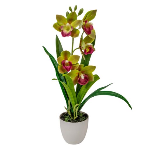 Cserepes orchidea gumi zöld 42cm