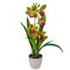 Cserepes orchidea gumi zöld 42cm