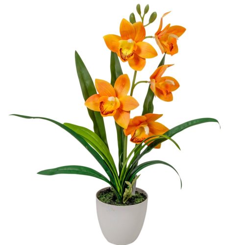Cserepes orchidea gumi narancs M42cm 12db/#