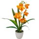 Cserepes orchidea gumi narancs M42cm 12db/#
