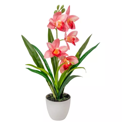 Cserepes orchidea gumi rózsaszín 42cm