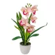 Cserepes orchidea gumi fehér-rózsaszín 42cm