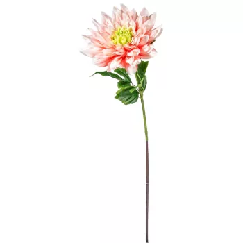 Dália szálas rózsaszín M98cm 16db/#