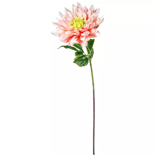 Dália szálas rózsaszín M98cm 16db/#