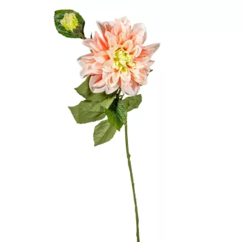 Dália szálas 2v. M76cm 18db/#