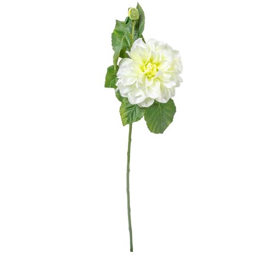 Dália szálas zöld 60cm