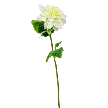 Dália szálas zöld 55cm