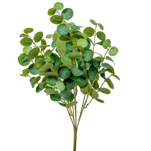 Eukaliptusz bokor 7ágú M47cm 24db/#