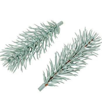 Fenyő ág 11cm
