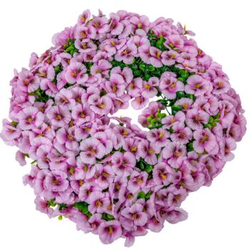 Árvácskás koszorú rózsaszín D50cm 4db/#