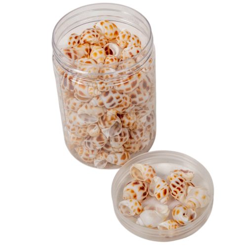 Kagyló natúr csigaház 220g 