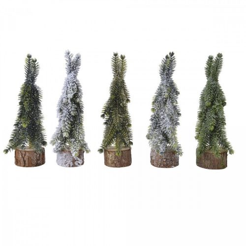 Fenyő fa talpon M20cm