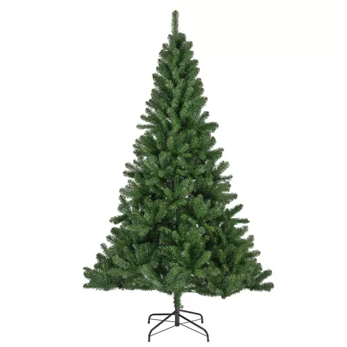 Fenyőfa Monarch pine M210cm